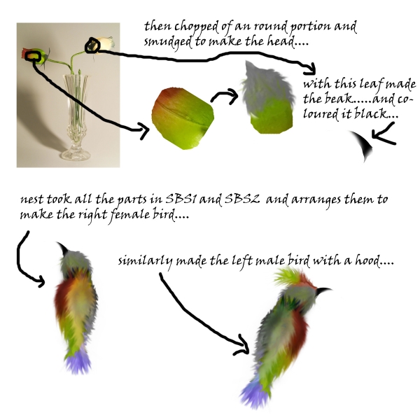 Creation of Birds of Paradise: Step 2